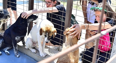 İzmirliler PAKOFEST’te patili dostlarla buluştu