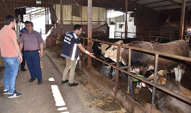 Kartepe'de kurban satışını sıkı denetim
