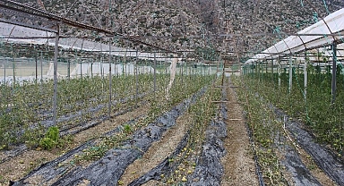 Korkuteli Kayabaş'ı hortum ve dolu vurdu