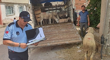 Mahalle arasında kurban satışına izin yok