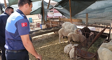 Menderes'te Kurban Denetimi