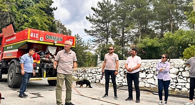 Milas Belediyesi Ekibi, Orman Yangınlarına Müdahale Eğitimi Aldı