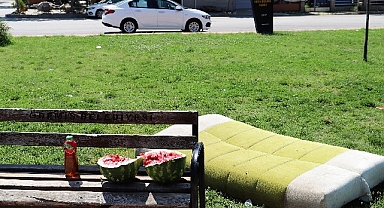 Parkta üzücü görüntüler: Şehir magandaları yine zarar verdi