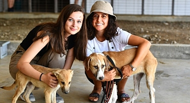 Pati dostları bu festivalde buluşacak