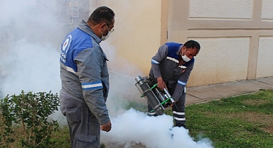 Sineksiz yaz için ilaçlama ordusu iş başında