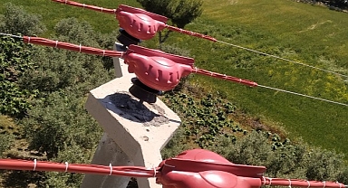 Toroslar EDAŞ Hatlarını Yalıttı, Kuşlar Kanatlarını Hayata Çırptı