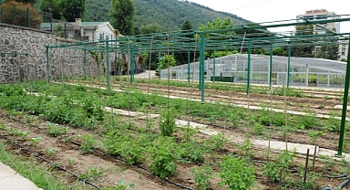 Tugay “Yerel tohumları koruyor ve toprakla buluşturuyoruz”