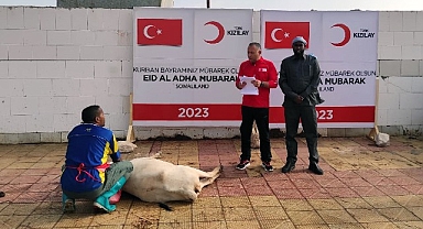 Türk Kızılay Kurban Kesimlerini Başlattı