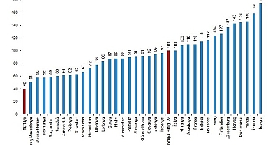 Türkiye'nin tüketim mal ve hizmetleri fiyat düzeyi endeksi 40 oldu