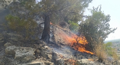 Aydın Büyükşehir Belediyesi İtfaiyesi, Söke'de ormanlık alanda çıkan yangını hızlı müdahaleyle büyümeden söndürdü