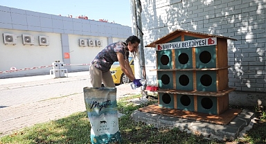 Bayraklı’da can dostlar için 'bir kap su' kampanyası