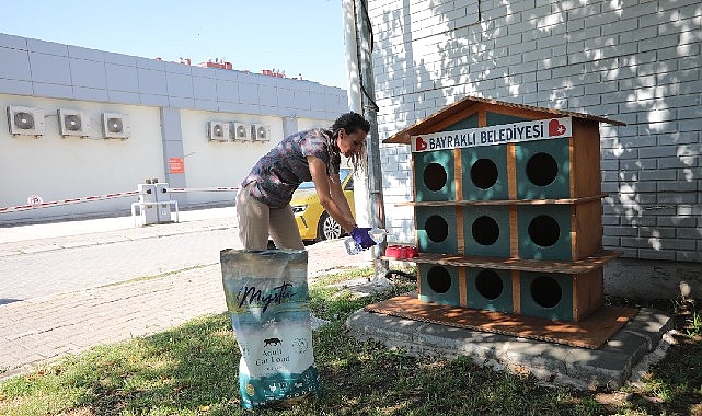 Bayraklı’da can dostlar için 'bir kap su' kampanyası