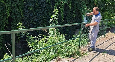 Beldibi’nde korkuluklar onarıldı