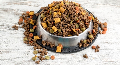 Can dostların mamaları Türkiye’de üretiliyor Türkiye, kedi-köpek maması ihracatında 100 milyon dolar hedef koydu