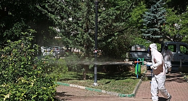 Çankaya parklarına yaz bakımı