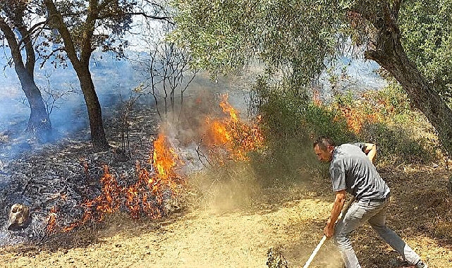 İzmir Kınık’taki yangında Devlet millet el ele verdi