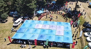 İznik Maviyemiş Festivali'ne yoğun ilgi