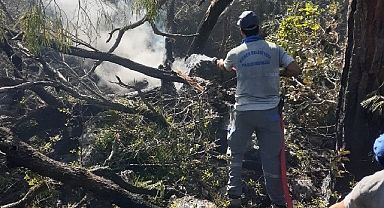 Kemer’deki orman yangınına müdahale sürüyor