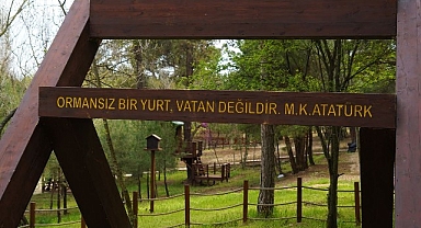 Lüleburgaz Kent Ormanına bu yılın ilk 6 ayında 64 bin 500 ziyaretçi geldi.