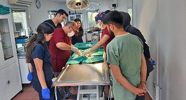 Osmangazi Belediyesi’nden Veteriner Fakültesi öğrencilerine uygulamalı eğitim