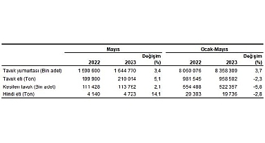 Tavuk eti üretimi 210 bin 14 ton, tavuk yumurtası üretimi 1,64 milyar adet olarak gerçekleşti