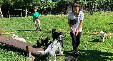 Yenilenen köpek parkı ile can dostların keyfi yerinde