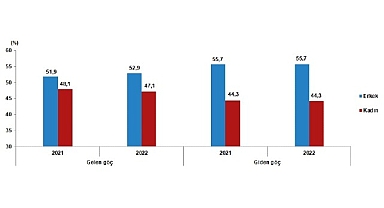 Yurt dışından Türkiye'ye 494 bin 52 kişi göç etti