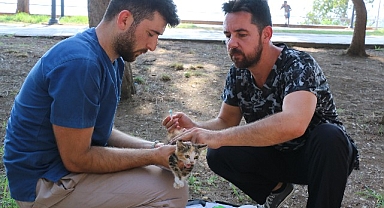 Antalya Büyükşehir can dostlarımızı hastalıklara karşı koruyor