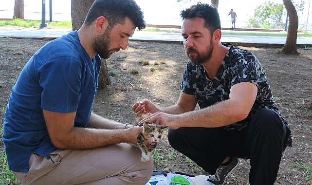 Antalya Büyükşehir can dostlarımızı hastalıklara karşı koruyor