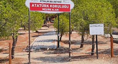 Ayvalık'ın Mesire Alanı'nda kent mobilyaları baştan sona yenileniyor