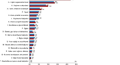 Bağımsız yıllık gayrisafi yurt içi hasıla 2022 yılında yüzde 5,5 arttı