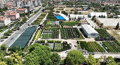Başkan Altay Konya Ağaç A.Ş Satış Merkezi’nde İncelemelerde Bulundu