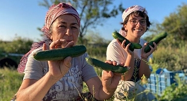 Buğday Derneği; Soframıza gelen zehirlerden 6’sı daha yasaklandı