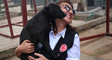 Karşıyaka Belediyesi, can dostlara huzurlu bir hayat sunuyor