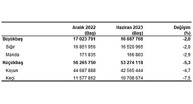 Büyükbaş hayvan sayısı 2023 yılı Haziran ayında 16 milyon 688 bin baş oldu