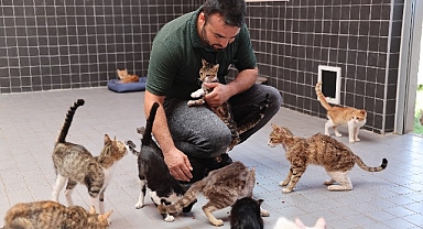 Can dostlar yeni yuvalarında mutlu