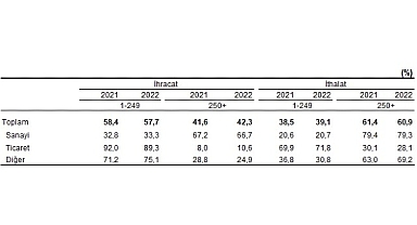 İhracatın yüzde 42,3'ünü, ithalatın ise yüzde 60,9'unu büyük ölçekli girişimler gerçekleştirdi