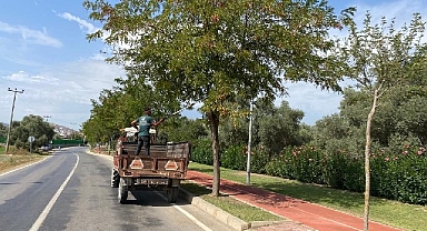 Milas Belediyesi mevsimsel bakım çalışmalarına devam ediyor