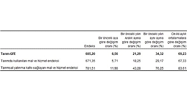 Tarımsal girdi fiyat endeksi (Tarım-GFE) yıllık yüzde 34,32, aylık yüzde 6,56 arttı