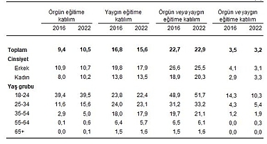 Yetişkinlerin örgün veya yaygın eğitime katılım oranı yüzde 22,9 oldu