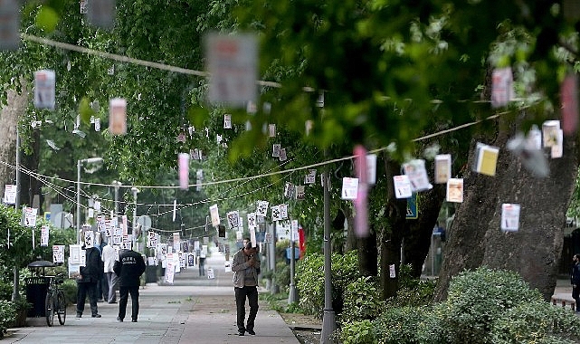 Cumhuriyet Bulvarı'nda Ağaçlar Kitap Açacak