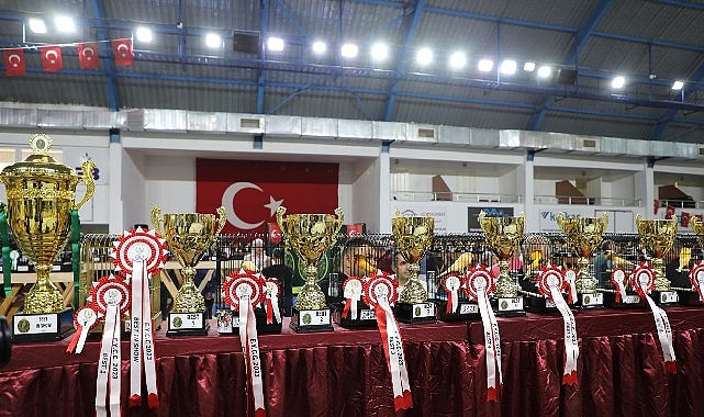 Dünyanın En Büyük Kanarya Yarışması Edremit'te