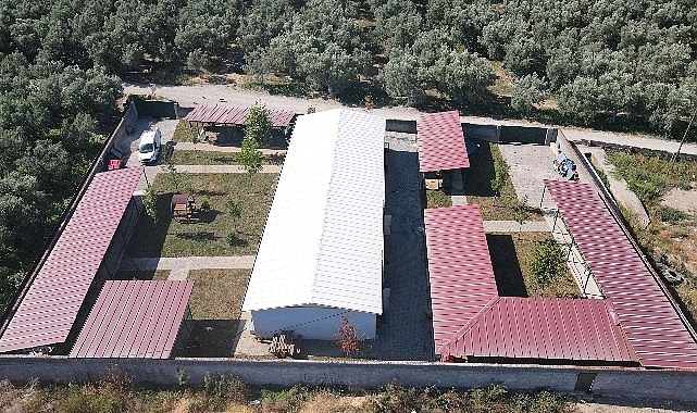 İznik Belediyesi'nden sokak hayvanlarına tam teşekküllü merkez