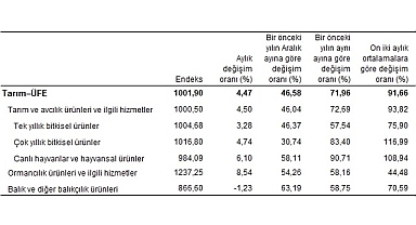 Tarım ürünleri üretici fiyat endeksi (Tarım-ÜFE) yıllık yüzde 71,96, aylık yüzde 4,47 arttı