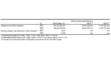 Araştırma-Geliştirme Faaliyetleri Araştırması, 2022