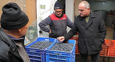 Başkan Sertaslan, “Tarlada izimiz var”