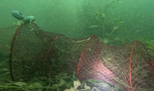 Kartepe'de sazan balığı tutma yarışması başladı