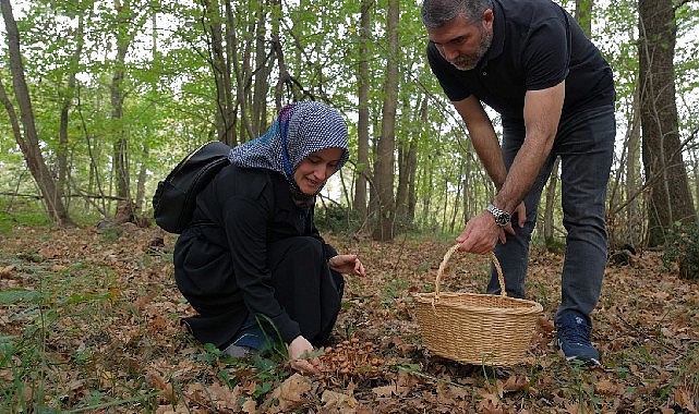 Kocaeli’nde Ormanya’da mantar avı düzenlendi