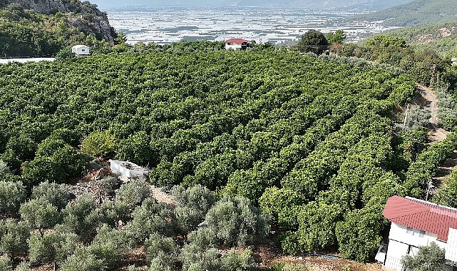 Kumlucalı üreticiler kapalı devre sulama tesisinden memnun