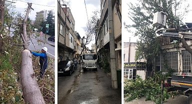 Osmangazi'de lodos mesaisi